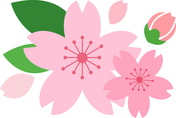 Cartoon botanic garden plant flower pink sakura cherry blossom