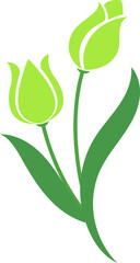 Cartoon botanic garden plant flower green tulip