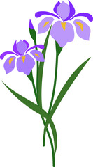 Fototapeta na wymiar Cartoon botanic garden plant flower purple iris