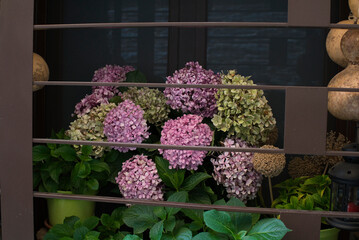 santiago de compostela, saint, camino santiago, ponte maceira, panorama, 2021, nature, wall, sky, building, town, city, maceira, santiago, james, xacobeo, ponte, green, finisterre, monument, travel, e
