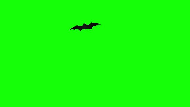 halloween bat flying loop motion graphics video transparent background with alpha channel