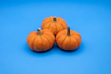Vibrant Orange Pumpkin on a Bright Blue Background