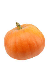 Beautiful ripe orange pumpkin isolated on white.