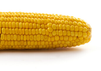 corn on the cob on a white background