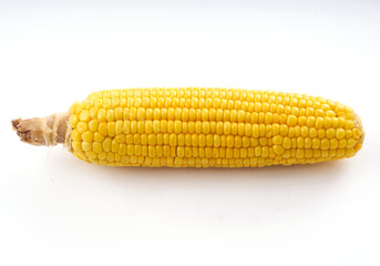 corn on the cob on a white background
