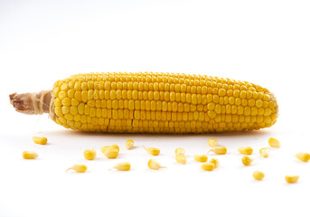 corn on the cob on a white background