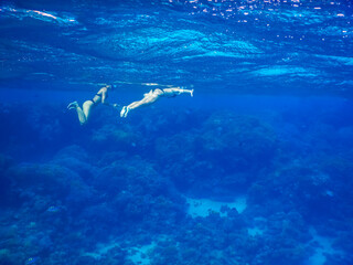 Naklejka premium two young girls in black bikini swimming and snorkeling in clear blue sea water