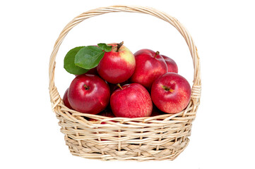 Juicy fresh apples in basket isolated on white background