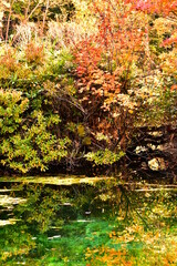 八甲田　紅葉と沼