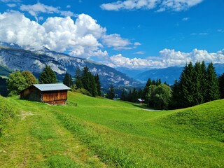 Landschaft bei Flims