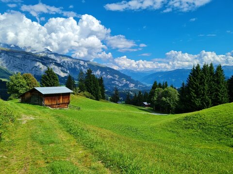 Landschaft bei Flims