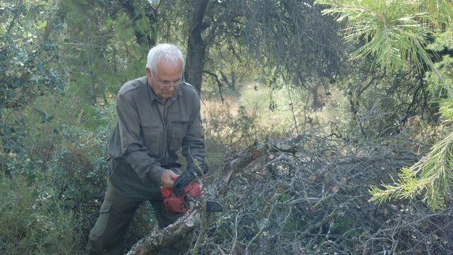 Hombre con motosierra cortando tronco de arbol para hacer le&ntilde;a de encina