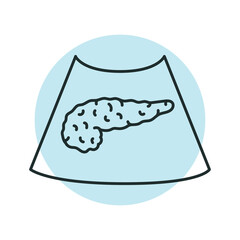 Ultrasound pancreas color line illustration