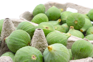 green figs on a white background
