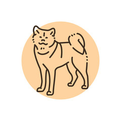 Akita inu color line icon. Dog breed.