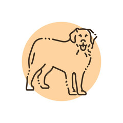 Bernese Mountain Dog color line icon. Dog breed.