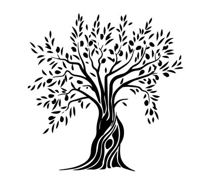 black tree silhouette isolated on white background