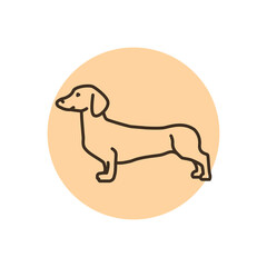 Dachshund color line icon. Dog breed.