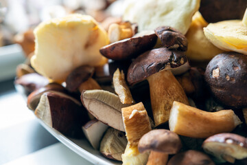 plates full of cleaned, sliced, colored mushrooms. Bay bolete, larch bolete, slippery jack, orange birch bolete.