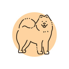 Samoyed color line icon. Dog breed.
