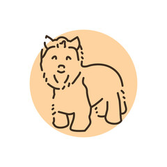 Yorkshire Terrier color line icon. Dog breed.