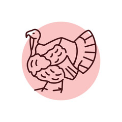 Turkey bird color line icon. Pictogram for web page