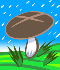 Rain Mushroom