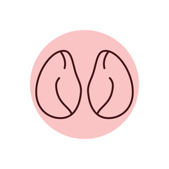 Chicken kidneys color line icon. Cutting meat.