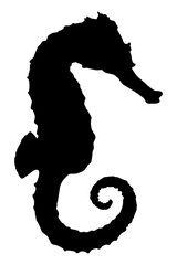 Fototapeta na wymiar Seahorse Silhouette for Logo, Pictogram, Apps, Website, Art Illustration or Graphic Design Element. Format PNG