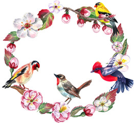  Watercolor wreath with spring  flowers and birds. Transparent layer