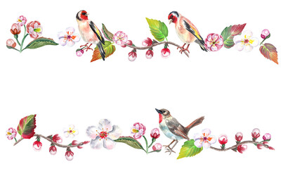  Watercolor seamless border with spring  flowers and birds. Transparent layer