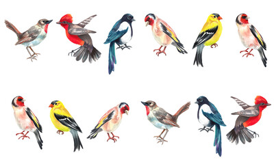 Obraz na płótnie Canvas Watercolor border with birds. Transparent layer