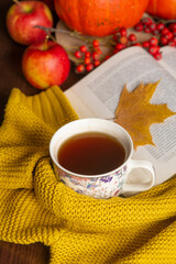 
cup of tea cozy knitted sweater book yellow maple leaves aplles and pumpkin. Autumn mood. Autumn home comfort