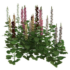 Hollyhock flowers 3d illustration