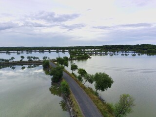 Mangrove ponds in Mengare Gresik East Java Indonesia