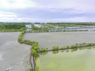 Obraz premium Mangrove ponds in Mengare Gresik East Java Indonesia