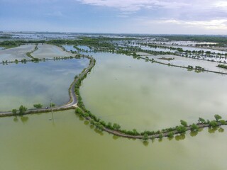 Mangrove ponds in Mengare Gresik East Java Indonesia