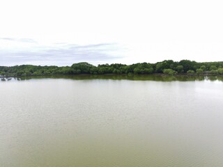 Mangrove ponds in Mengare Gresik East Java Indonesia