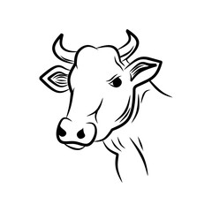 Cow head hand draw icon on white background