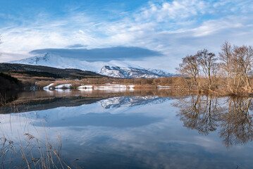 冬師湿原、鳥海山