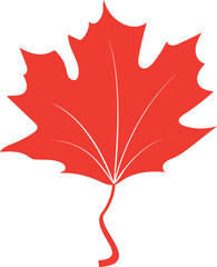 Maple leaf