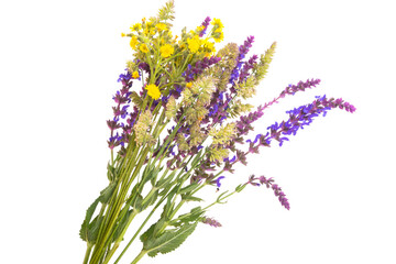 Bouquet of meadow flowers isolated