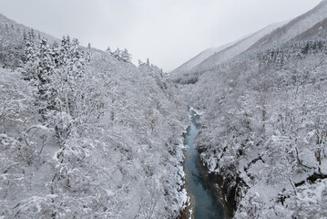 冬の抱返り渓谷