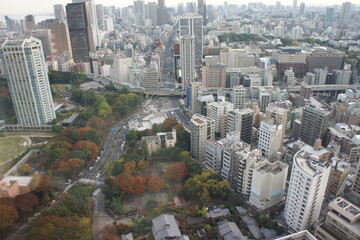 Obraz premium tokyo tower photo city 