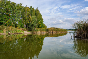 A beautiful autumn view of the Zdvij river. Ukraine