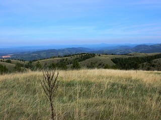 Empty hill meadows 