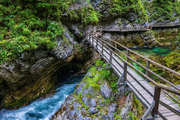 Vintgar Gorge Landscape In Slovenia