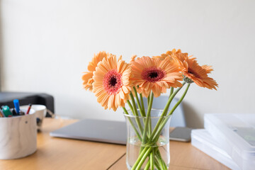 Closeup of orange gerbera daisies in glass vase on desk with office equipment in background (selective focus)