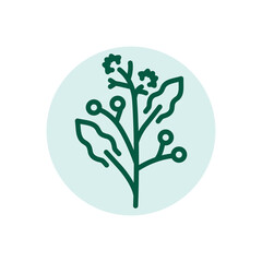 Camphor olor line icon. Pictogram for web page