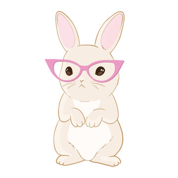 Cute little rabbit with pink glasses. Sweet Girl slogan. Funny bunny face. Vector illustration for children print design, kids t-shirt, baby wear